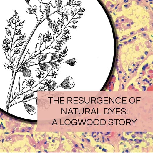 Image hematoxylin plant