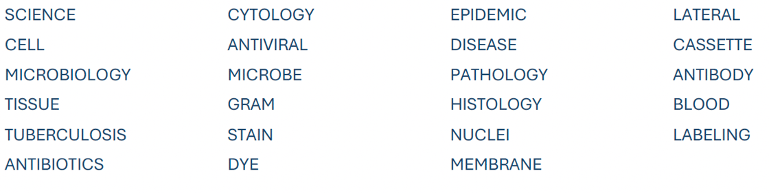 Image_Wordsearch List